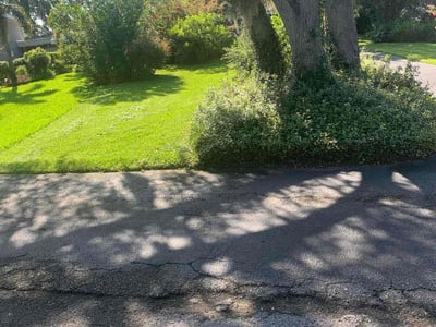 Lawn care service in Haines City, 33844