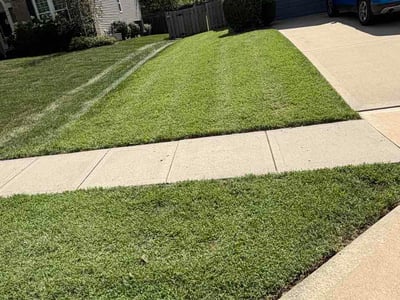 Lawn care service in Kansas City, 64118