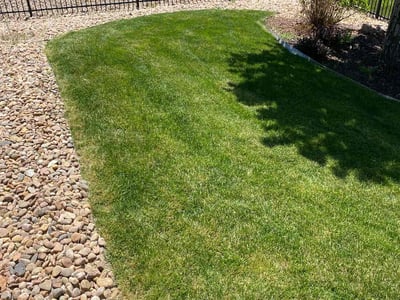 Lawn care service in Aurora, 80016