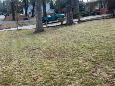 Lawn care service in Atlanta, 30310