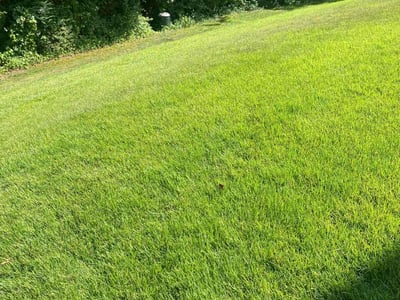Lawn care service in Charlottesville, 22911