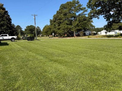 Lawn care service in Farmville, 27828