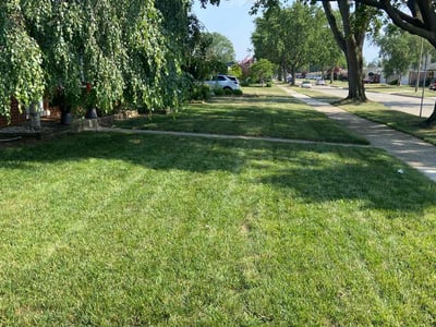 Lawn care service in Warren, 48093