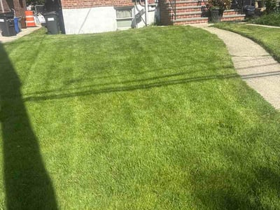 Lawn care service in Queens, 11432