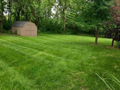 Lawn care service in Kansas City, 64155