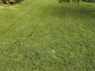 Lawn care service in Norfolk, 23504