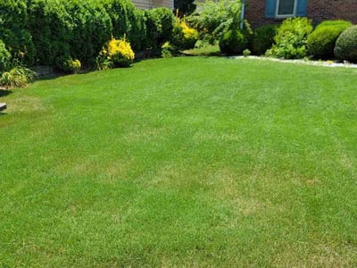 Lawn care service in Fairburn, 30213