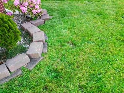 Lawn care service in Merrillville, 46410