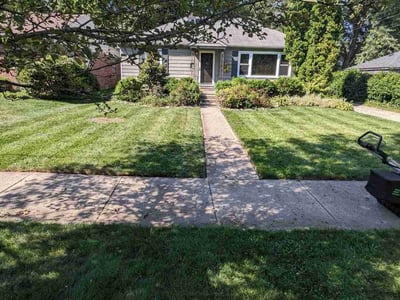 Lawn care service in Ypsilanti, 48197