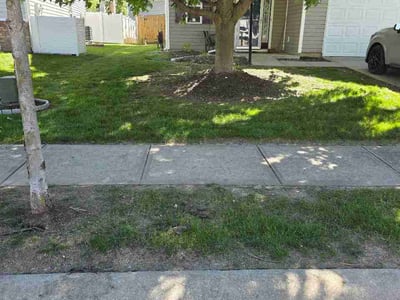 Lawn care service in Noblesville, 46060