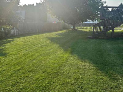 Lawn care service in Rochester, 14624