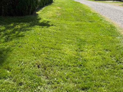Lawn care service in Portland, 97220