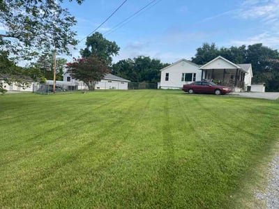 Lawn care service in Knoxville, 37931