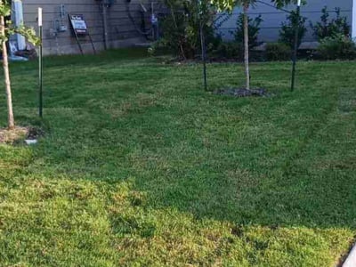 Lawn care service in San Antonio, 78254