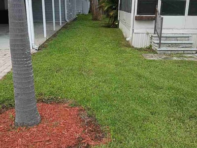 Lawn care service in Tampa, 33635