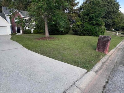Lawn care service in Loganville, 30052