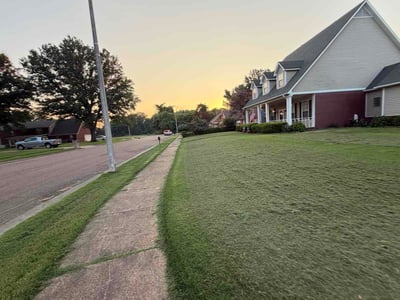 Lawn care service in Millington, 38053