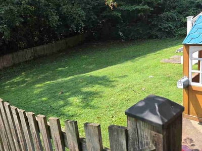 Lawn care service in Falls Church, 22043