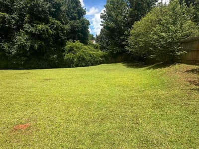 Lawn care service in Locust Grove, 30248