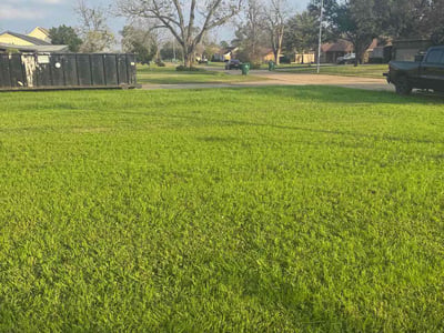 Lawn care service in Houston, 77022