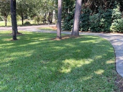 Lawn care service in Tallahassee, 32312