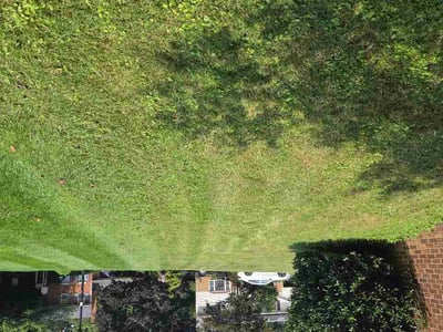 Lawn care service in Falls Church, 22043