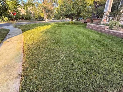 Lawn care service in Commerce City, 80022