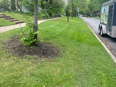 Lawn care service in Westmont, 60559