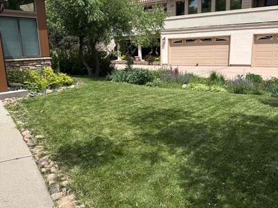 Lawn care service in Littleton, 80125