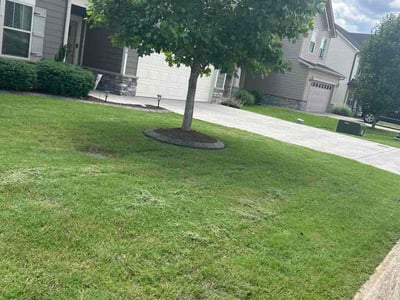 Lawn care service in Smyrna, 37167