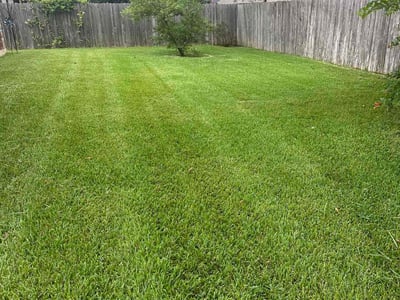 Lawn care service in College Station, 77845