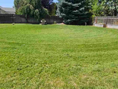 Lawn care service in Meridian, 83646