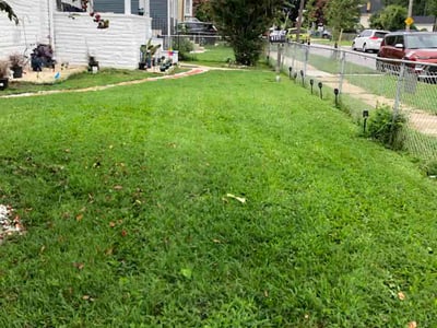 Lawn care service in Dundalk, 21222