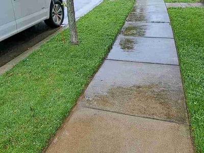 Lawn care service in Baltimore, 21222