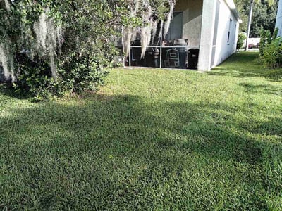 Lawn care service in Zephyrhills, 33541