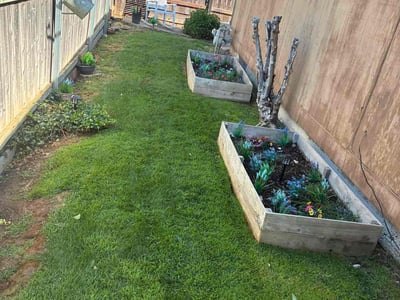 Lawn care service in Roseville, 95678