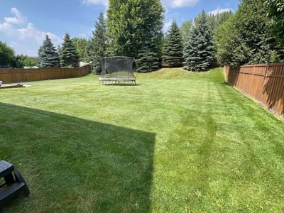 Lawn care service in Lakeville, 55044