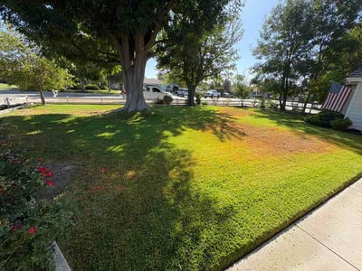 Lawn care service in Murrieta, 92562