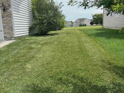 Lawn care service in Middletown, 19709