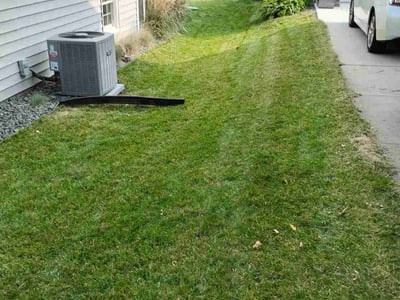 Lawn care service in Madison, 53711