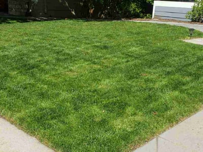 Lawn care service in Littleton, 80130