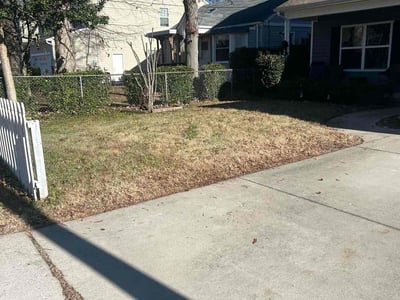 Lawn care service in Norfolk, 23503