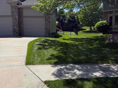 Lawn care service in Omaha, 68136