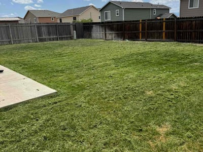 Lawn care service in Colorado Springs, 80925