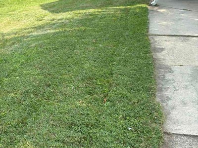 Lawn care service in Wilmington, 19803