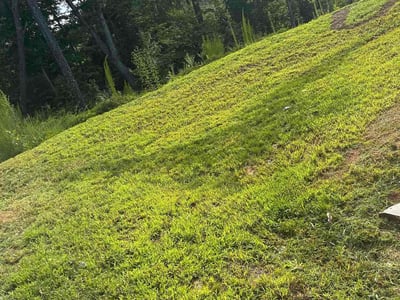 Lawn care service in Winston-Salem, 27105