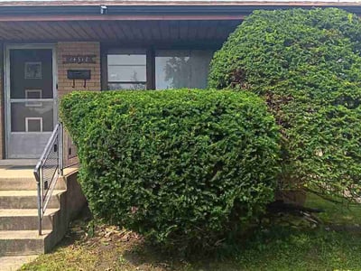 Lawn care service in Dolton, 60419