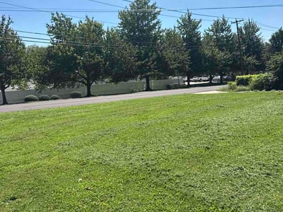 Lawn care service in Cincinnati, 45236