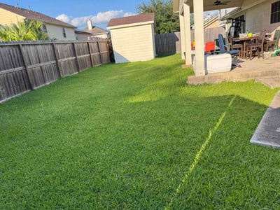 Lawn care service in Friendswood, 77546