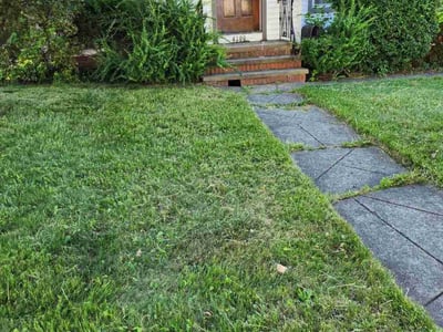 Lawn care service in Cleveland, 44144
